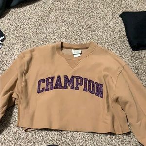 Cropped champion hoodie